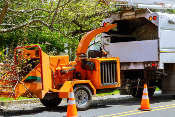 Best Aeration Services  in Trafalgar, IN
